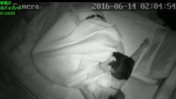 【破解摄像头】韩G居家摄像头破解 良家女人们在没有防备状态下各种喷血画面合集 截图3