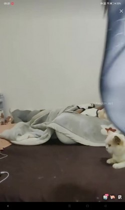 出道即巅峰新人露脸推特顶B王，人瘦奶大小魔女【蒂米】定制私拍，裸舞顶胯，道具紫薇无套啪啪内射 截图14