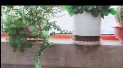 极品淫妻博主，【暧昧AIMEI】，夫妻交换，一起逛景点游玩一天，酒店内4P更有感觉，全程跟拍记录教科书 截图1