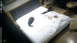 天眼42号房 少妇穿着情趣套装被男人接到床边舔逼 然后就是脱衣服操逼内射 没多久第二炮又开始了 截图16