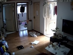 居家摄像头破解 真实记录在家里喜欢裸睡的美女白领 截图7