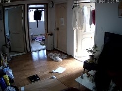 居家摄像头破解 真实记录在家里喜欢裸睡的美女白领 截图8