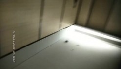 七天高端外围 极品在职车模 截图16