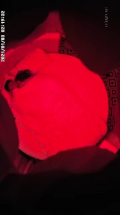 主题酒店情趣圆床上帝视角偷拍胖哥先把苗条美女炮友摸的淫水直流，再用力插她的小逼 截图7