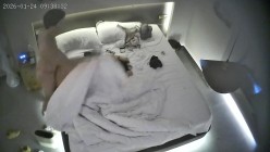 酒店偷拍反差婊眼镜妹子换上黑丝情趣睡衣配合男友69互舔口爆后入 截图13