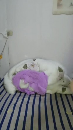 风骚良家露脸刚起来就要伺候大哥，口交大鸡巴被大哥压在身下无套疯狂输出，直接内射给狼友看精液流出真刺激 截图3