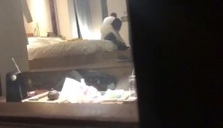 【猎奇资源 ️真实浅入旅馆】尾随跟踪翻偷拍情侣啪啪做爱叫床声甄选 两小时超刺激 叫的撕心裂肺 荡气迴肠 截图8