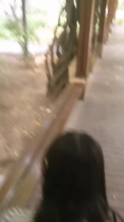 大学城小母狗，校园亭子里趁大家都午觉了，后入大战，难忘的野炮。男：刺激吗，啊？啊？四处无人，学妹放声叫春！ 截图3