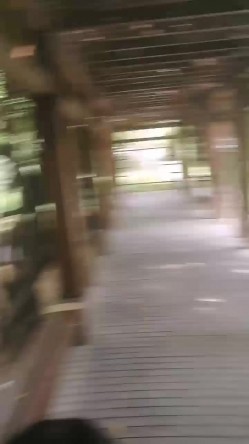 大学城小母狗，校园亭子里趁大家都午觉了，后入大战，难忘的野炮。男：刺激吗，啊？啊？四处无人，学妹放声叫春！ 截图4