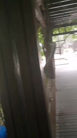大学城小母狗，校园亭子里趁大家都午觉了，后入大战，难忘的野炮。男：刺激吗，啊？啊？四处无人，学妹放声叫春！ 截图6