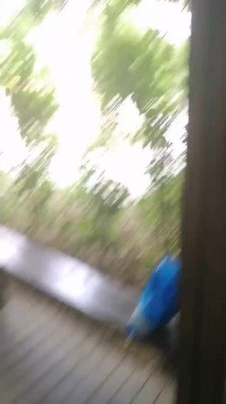 大学城小母狗，校园亭子里趁大家都午觉了，后入大战，难忘的野炮。男：刺激吗，啊？啊？四处无人，学妹放声叫春！ 截图8