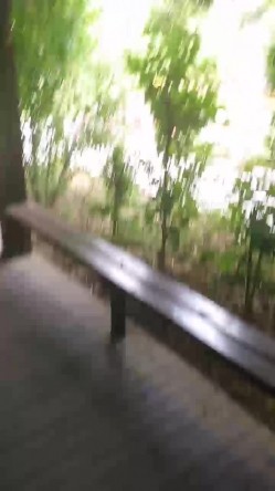 大学城小母狗，校园亭子里趁大家都午觉了，后入大战，难忘的野炮。男：刺激吗，啊？啊？四处无人，学妹放声叫春！ 截图15