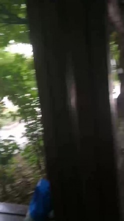 大学城小母狗，校园亭子里趁大家都午觉了，后入大战，难忘的野炮。男：刺激吗，啊？啊？四处无人，学妹放声叫春！ 截图16