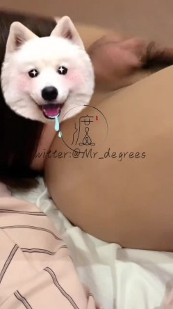 推特潮汕DOM绿帽调教大神【渡先生】私拍，各种羞辱M贱母狗，圣水口水毒龙吞精踩脸臭袜终极玩肏 截图12