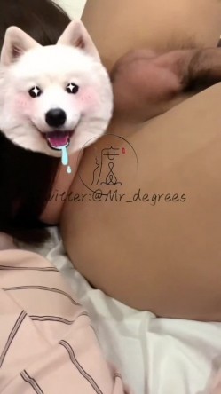 推特潮汕DOM绿帽调教大神【渡先生】私拍，各种羞辱M贱母狗，圣水口水毒龙吞精踩脸臭袜终极玩肏 截图13
