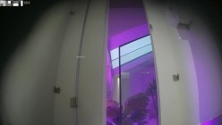 商场女厕偷拍 美少女方便JK短裙眼镜妹擦肥美鲍鱼的样子太销魂了 截图1