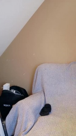 经典女神级别。超美【性感车模】性感自慰，宅男撸管专用~太赞了！女团级别，私处全部展示 截图16