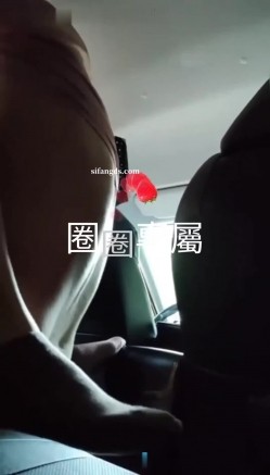 超顶级淫妻，【圈圈】，最新付费私拍，本期直接露脸，和粉丝车震，约单男大学生3P，好刺激 截图8