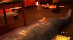 极品超强医生女S【北京神罚大人】长视频福利，极限调教责罚狗奴，寸止榨精，各种花活儿 截图8