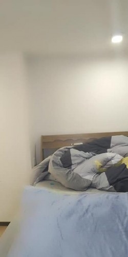 很骚的小少妇露脸在床上激情自慰，自己抠逼不过瘾跑去给小哥哥舔鸡巴，主动上位抽插揉捏自己奶子，浪荡呻吟 截图2