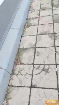 极品户外一姐，户外女神真空大黑牛勾搭路人 街边人前喷射裤子全湿跳蛋给陌生人玩[ 截图5