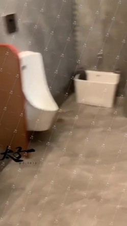 母狗调教训练推特大佬【太子】私拍，各种社死调教反差模特骚女，狗链露出爬行啪啪能玩的都玩了 截图16