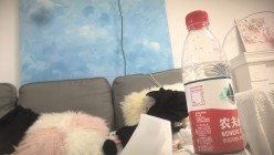熟女探花_风犹存俏的美御姐，大肥臀后入猛猛干 截图16