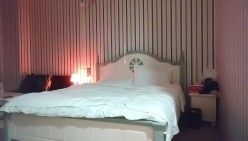 纹身哥模仿探花 洗浴会所酒店开房偷拍记录嫖娼过程 截图2