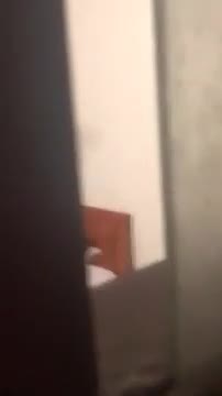 【猎奇稀缺 ️大开眼界】 门缝窗外偷拍 刺激偷拍情侣沉浸式啪啪 被偷拍都不知道 各式姿势操的好疯狂刺激 截图14