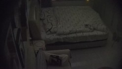 气质美女被男友狂操三场身体敏感捂嘴抓床单 截图1