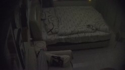 气质美女被男友狂操三场身体敏感捂嘴抓床单 截图2