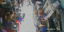 《居家摄像头破解》做电脑配件生意的老板和身材火爆的媳妇在办公桌上就开炮 截图8