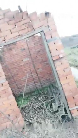 骚气少妇户外野地跳蛋塞逼震动自慰 回到车上掰开近距离特写毛毛挺浓密 截图2