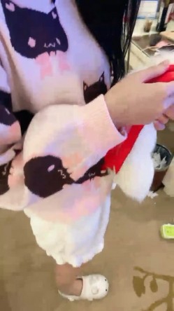 清纯系天花板！极品美少女！情趣耳朵超甜美，炮友掏出屌足交，脱下睡裤掰穴，第一视角操无毛小穴 截图13