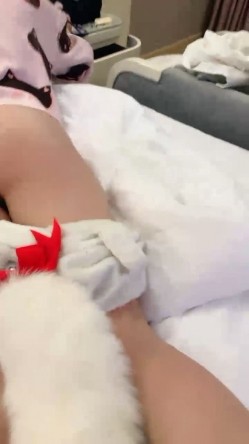 清纯系天花板！极品美少女！情趣耳朵超甜美，炮友掏出屌足交，脱下睡裤掰穴，第一视角操无毛小穴 截图14