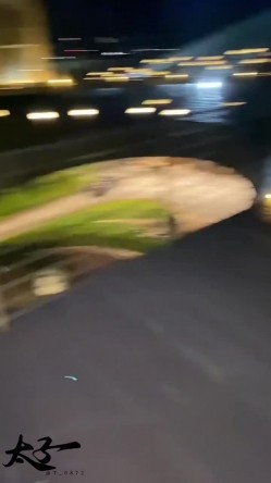 母狗调教训练推特大佬【太子】私拍，各种社死调教反差模特骚女，狗链露出爬行啪啪能玩的都玩了 截图6