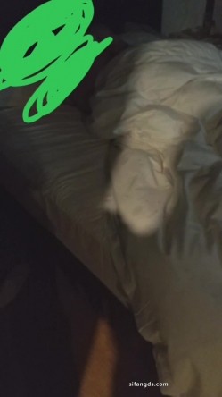 真实绿帽博主，【王军】让老婆陪各个不同单男啪啪，各种特写插穴，太淫乱了 截图9