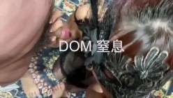 你的女神大佬的母狗~专业SM社区字母圈神人【DOM窒息】调教作品 粉丝投稿绝版全套~秒懂下 截图6