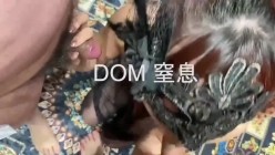 你的女神大佬的母狗~专业SM社区字母圈神人【DOM窒息】调教作品 粉丝投稿绝版全套~秒懂下 截图7