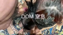 你的女神大佬的母狗~专业SM社区字母圈神人【DOM窒息】调教作品 粉丝投稿绝版全套~秒懂下 截图12