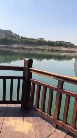 女人啊女人啊，浪阿姨，江边小廊露出吃鸡，厕所刺激后入，回家还喜欢吃鸡，吃上瘾啦！ 截图4