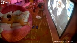 【萤石云摄像头】偷情女被暴力肛交 灌酒 操哭了19V，晚上吃夜宵时被强制按床上灌酒，大叫 哭了 截图10