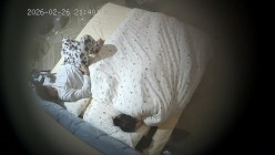 家庭健身房监控流出激情不断啪啪不停，十分精彩刺激！ 截图5