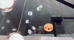 绿帽博主【大熊猫】，经常跟粉丝一起3P4P两女友，几个人一起开淫乱派对 截图11