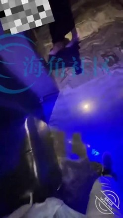 海角富姐少妇杀手野兽绅士陪离异少妇逛街，低胸裙高跟鞋，欲望上头拉到KTV就是爆操 截图7