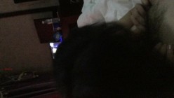【百度云泄密系列】非常有情调的情趣女仆装美女性爱图片和短片 截图13