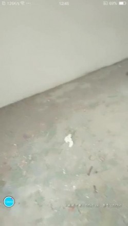 户外骚货主播BB里塞着跳蛋 和炮友在小山头 拆迁的房间里面口交 后入啪啪秀 截图11