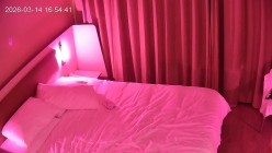 公寓酒店 这是目前见过最妖娆的小姐 女神身材配一身情趣内衣 极致诱惑的水蛇腰 男人根本抗不住 截图9