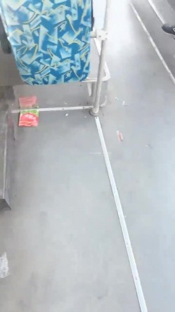 【黛西老师】商场~马路~树林~勾搭技师内射一屁股~露脸 截图11