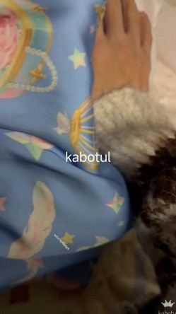 富二代真实约炮，【fKabuto】，专攻学生妹，完美露脸，坠入爱河宿舍自拍裸照，约出来酒店爆操 截图2